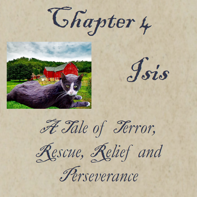 Chapter 4 Isis