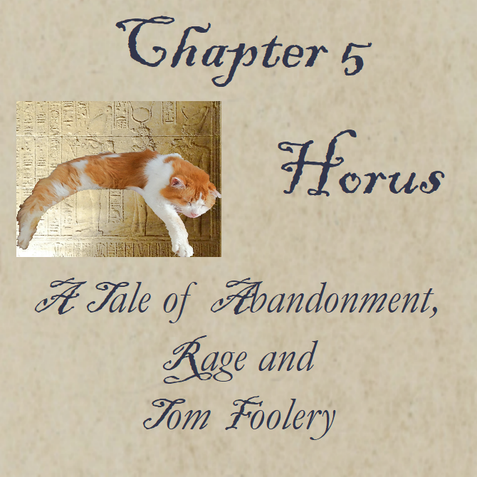 Chapter 5 Horus