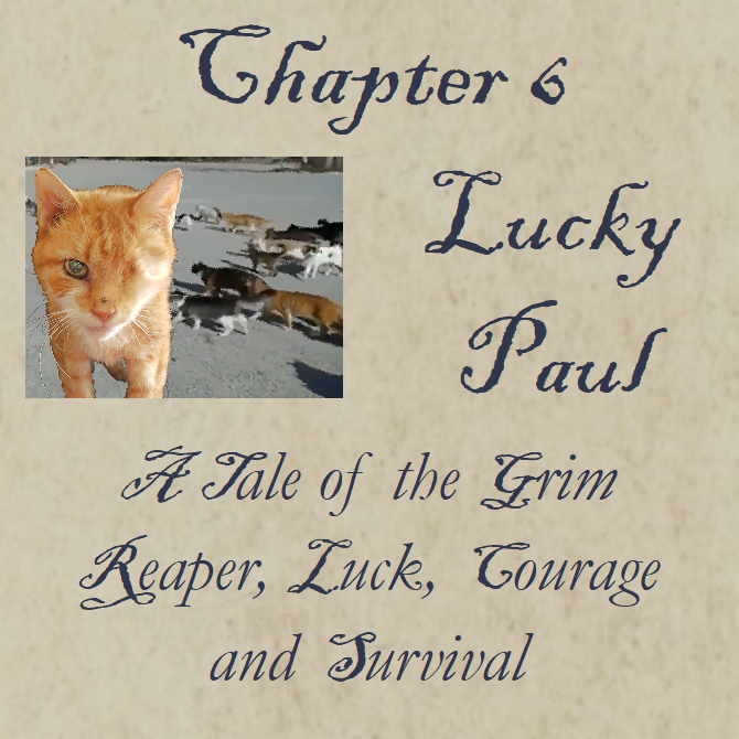 Chapter 6 Lucky Paul