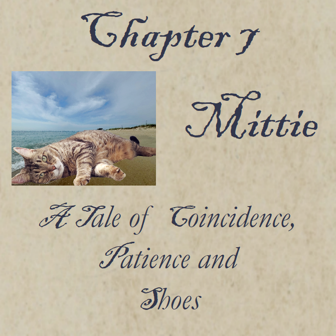 Chapter 7 Mittie