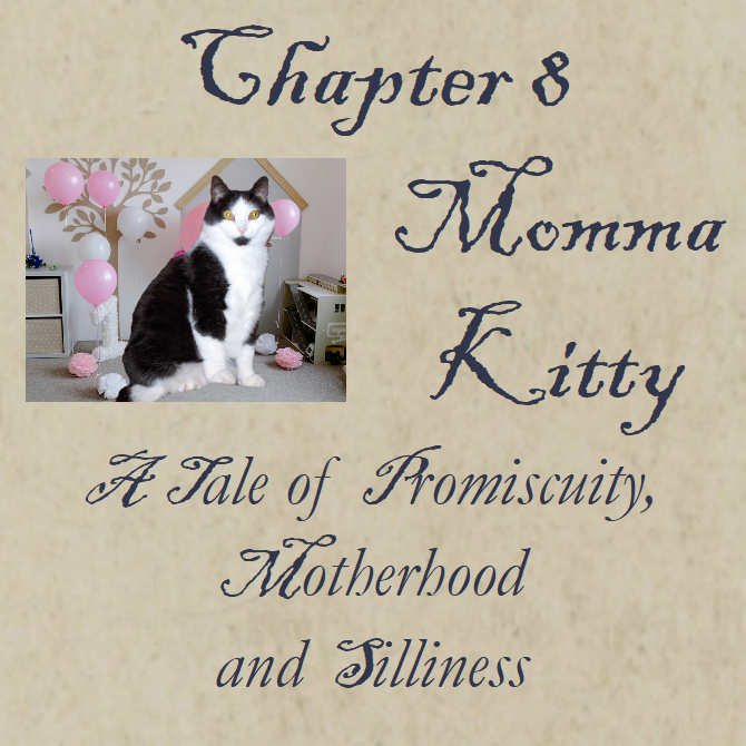 Chapter 8 Momma Kitty