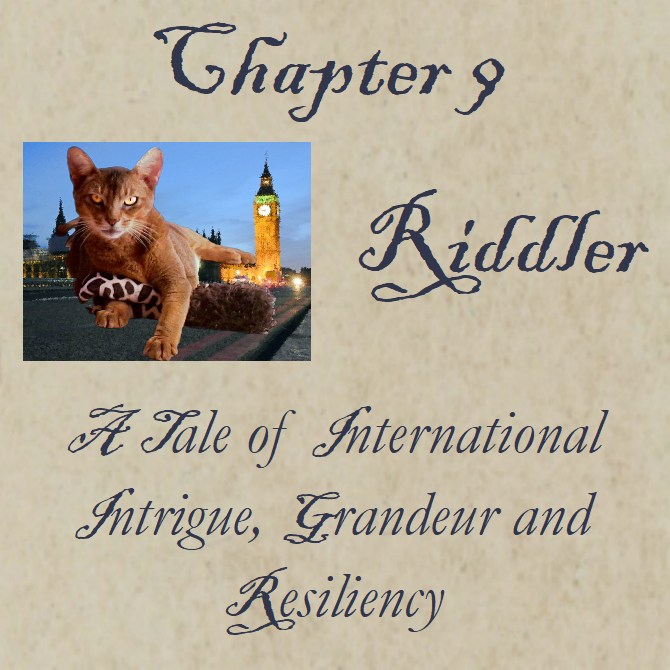 Chapter 9 Riddler