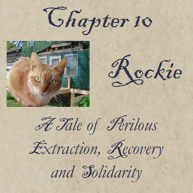 Chapter 10 Rockie
