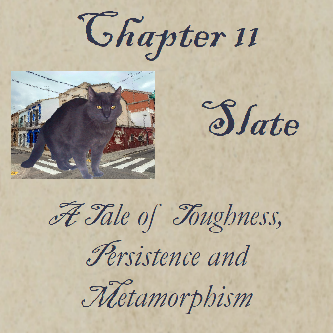 Chapter 11 Slate