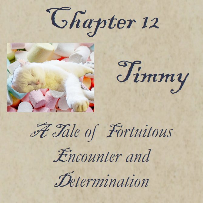 Chapter 12 Timmy
